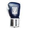 Универсальные боксерские перчатки на липучке, цвет синий с серебром