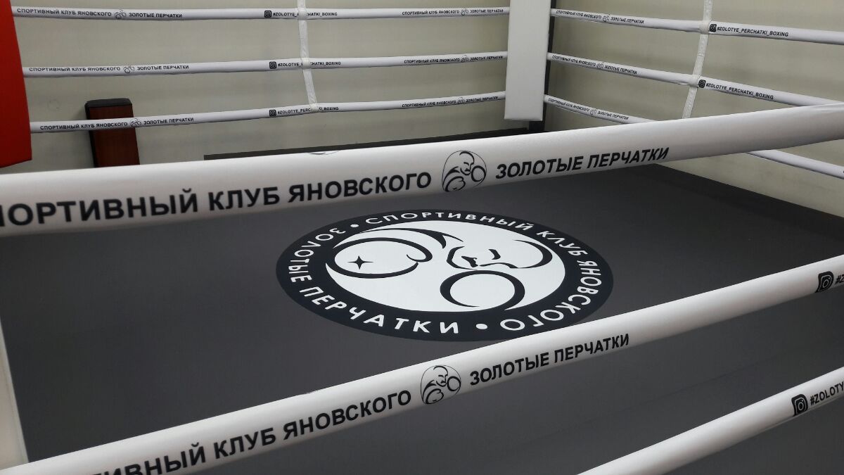 professional_ring_cover_yanovsky_boxing_club