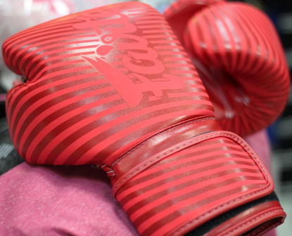 Изображение Тренировочные перчатки женские FAIRTEX Роуз