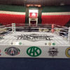 Юбка для боксерского ринга с нанесением логотипов